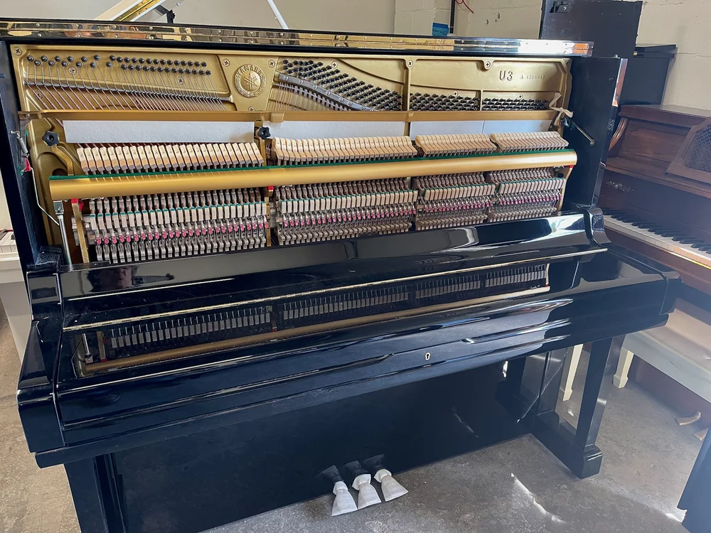 Steinway & Yamaha Pianos | Long Island | NYC